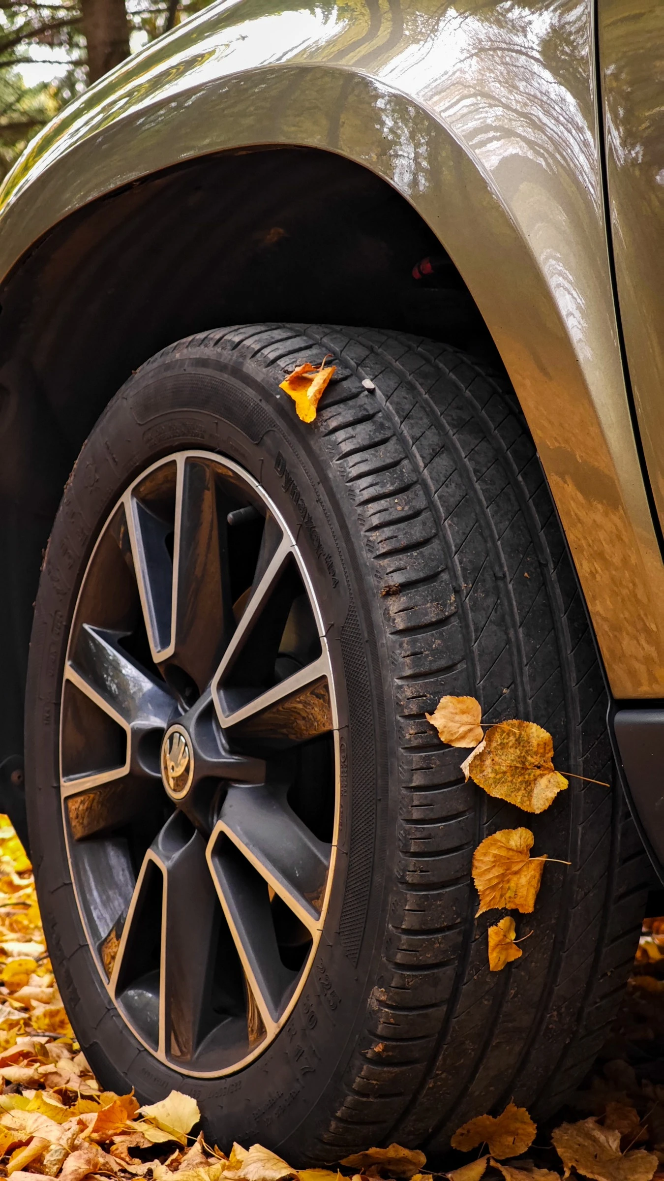 Skoda Yeti 2.0 TDI Adventure 4x4  - изображение 6