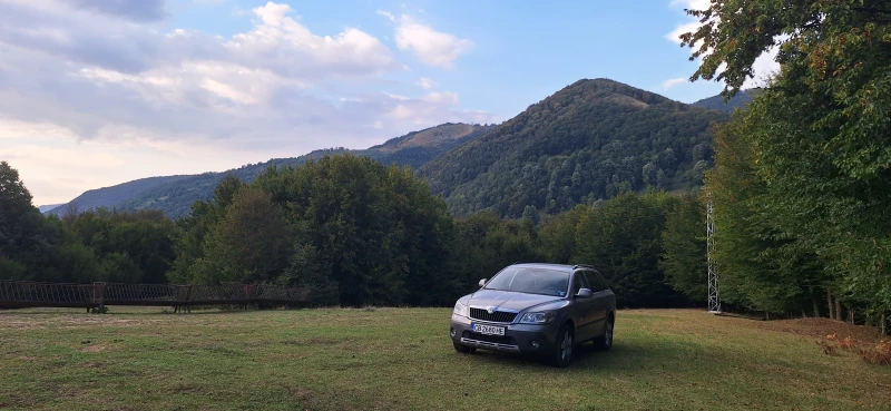 Skoda Octavia Scout, снимка 6 - Автомобили и джипове - 52386101