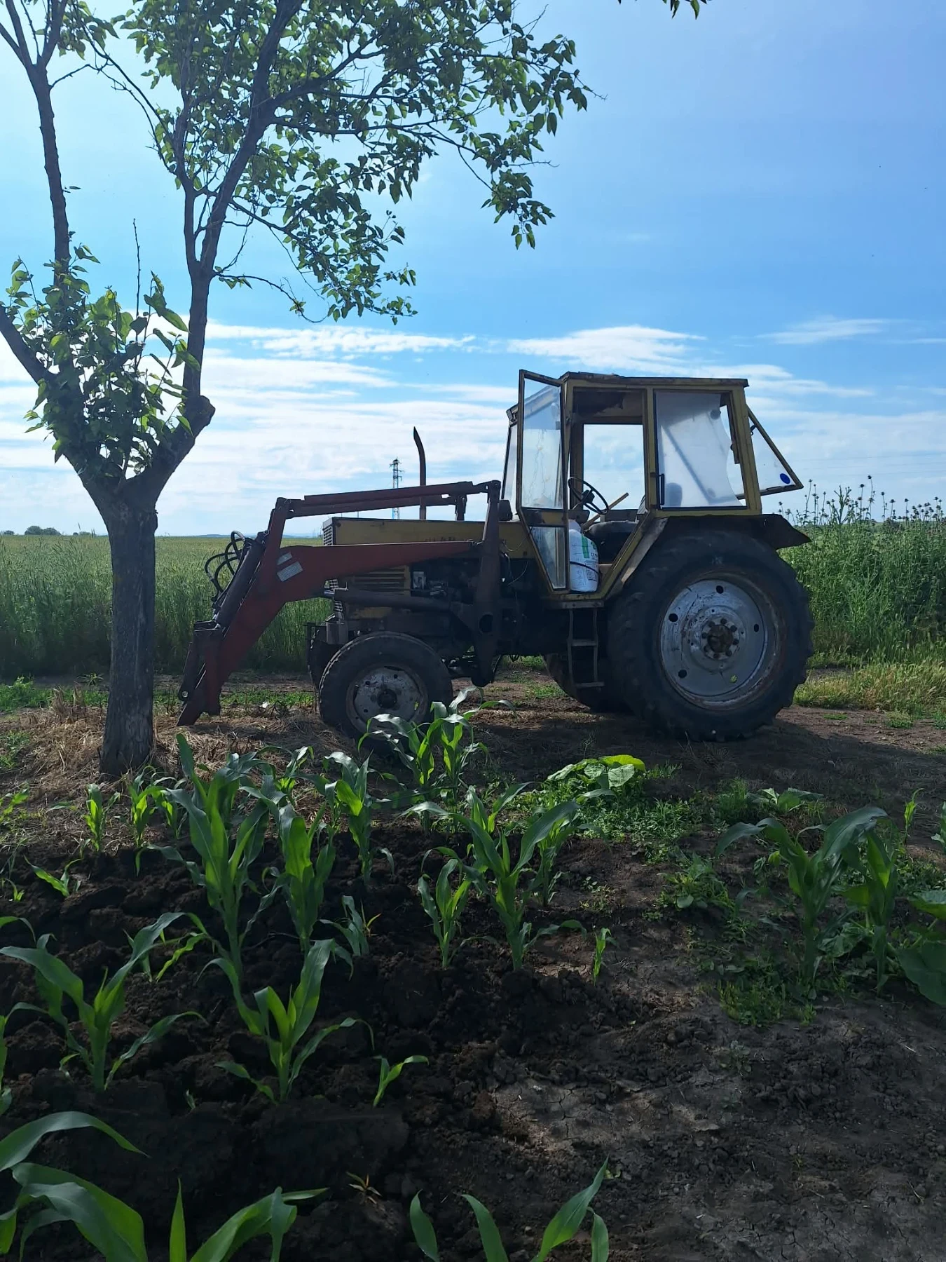 Трактор Болгар ТК 80 фадрома, снимка 3 - Селскостопанска техника - 54268028