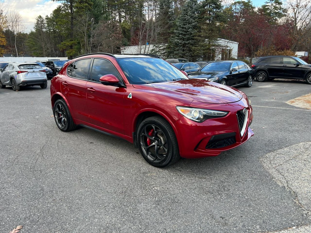 Alfa Romeo Stelvio QUADRIFOGLIO 505HP - изображение 2