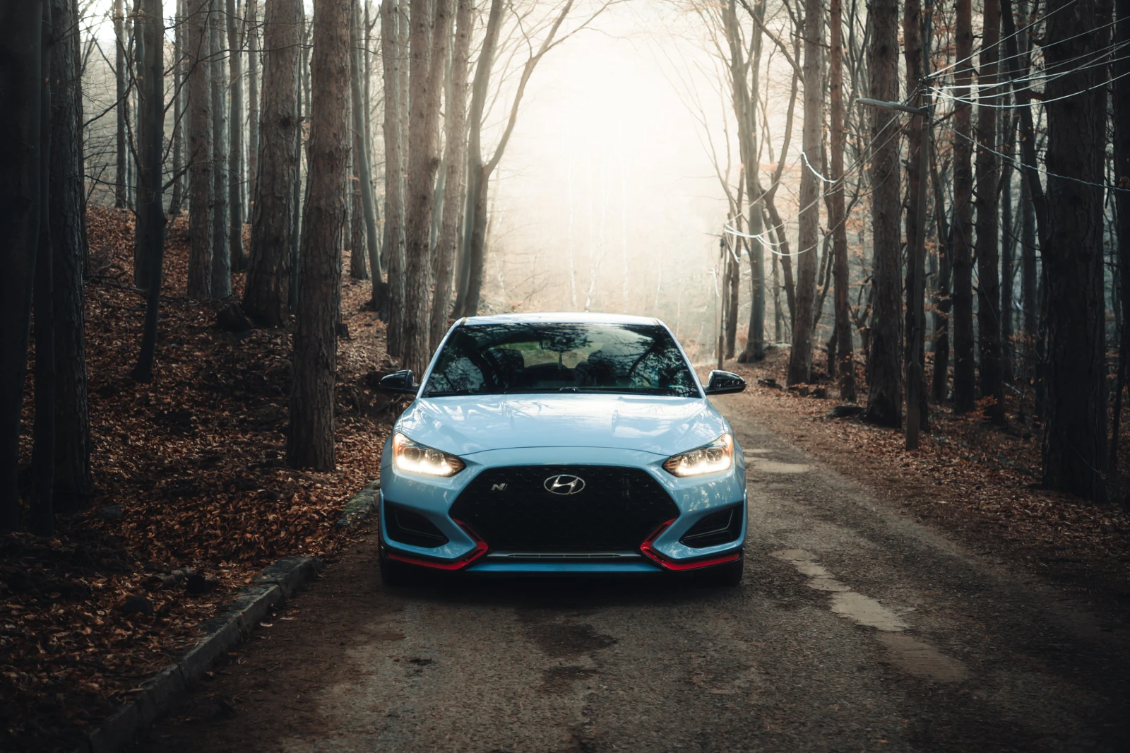 Hyundai Veloster  N 2.0T , снимка 1