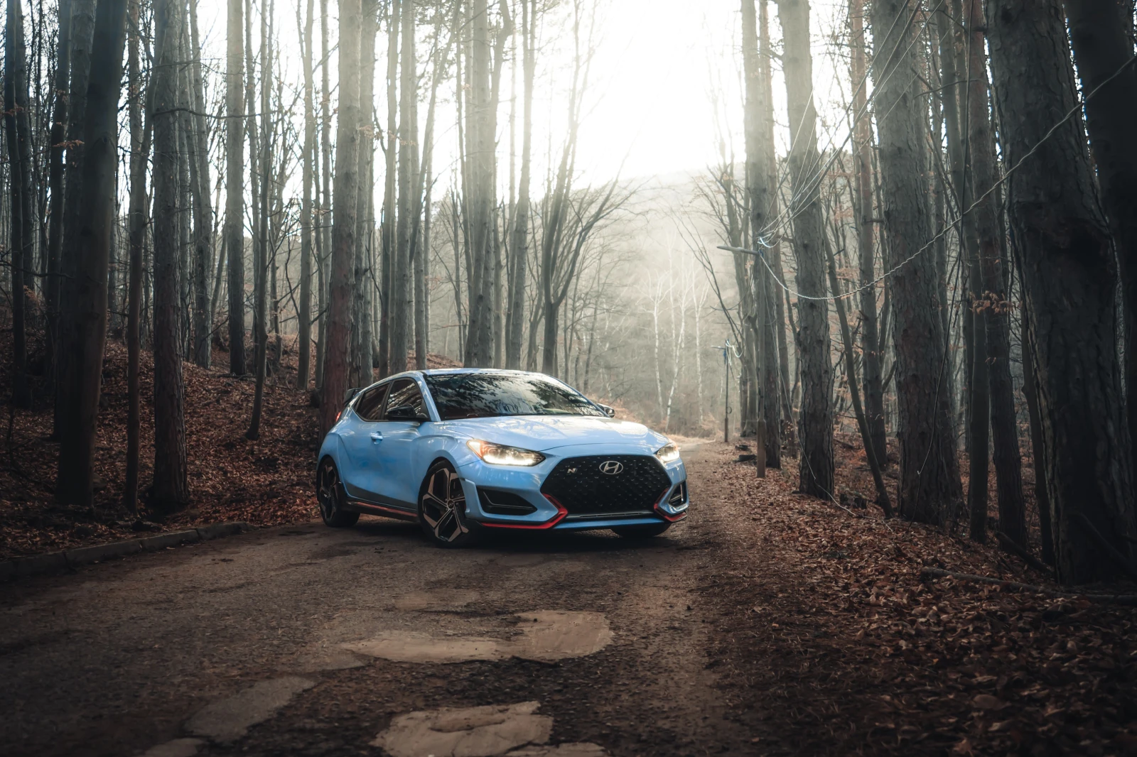 Hyundai Veloster  N 2.0T  - изображение 4
