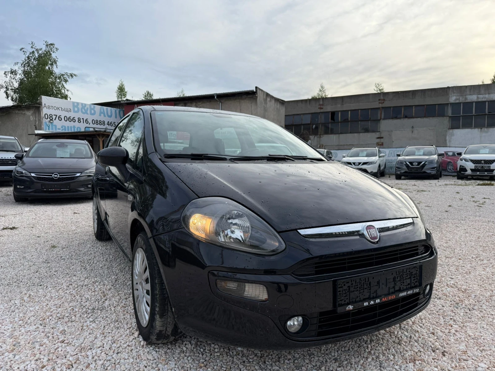 Fiat Punto 1.2 Бензин - изображение 2