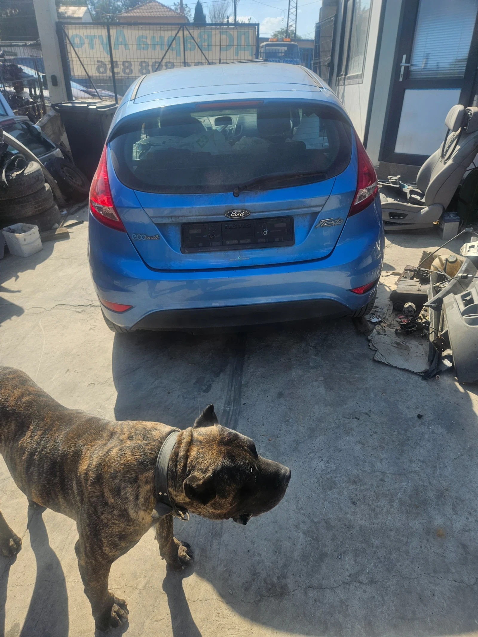 Ford Fiesta 1.6HDI, 1.2I - изображение 4