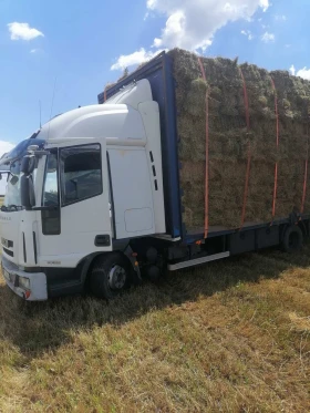 Iveco Eurocargo | Mobile.bg � ����� ������ 2