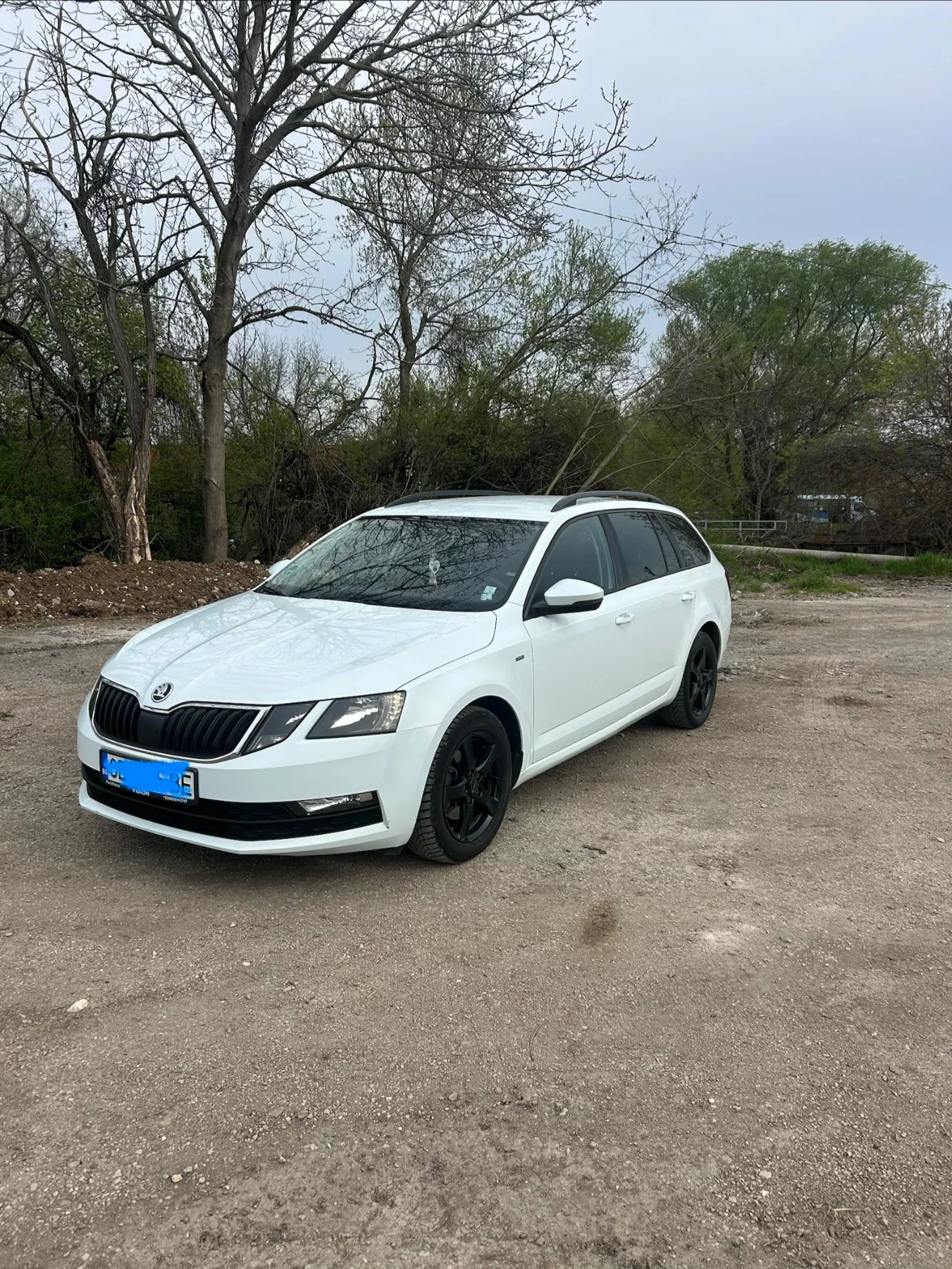 Skoda Octavia, снимка 3 - Автомобили и джипове - 56467524
