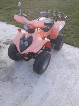 Cpi SX, снимка 2