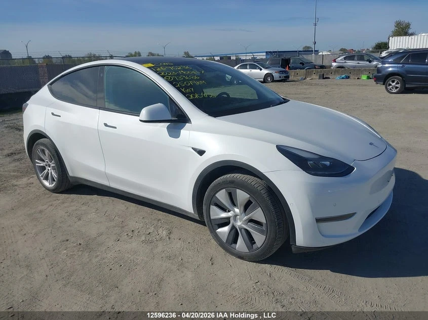 Tesla Model Y Rwd