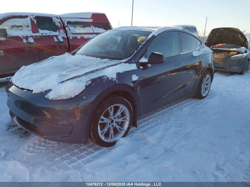 Tesla Model Y 2023 LFP Батерия, снимка 2 - Автомобили и джипове - 54394405