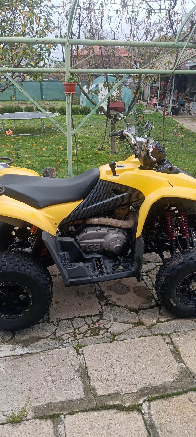 Tgb Target  - изображение 3