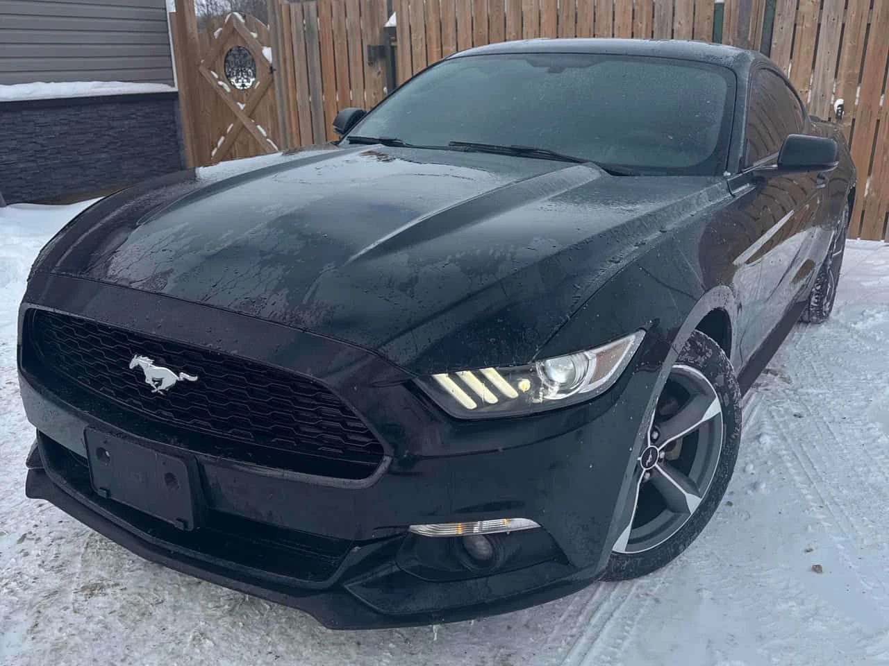 Ford Mustang | V6| CARFAX| ��������������� | Mobile.bg � ����������� 1