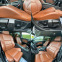 Обява за продажба на BMW 530 3.0D M Packet ~13 300 лв. - изображение 11