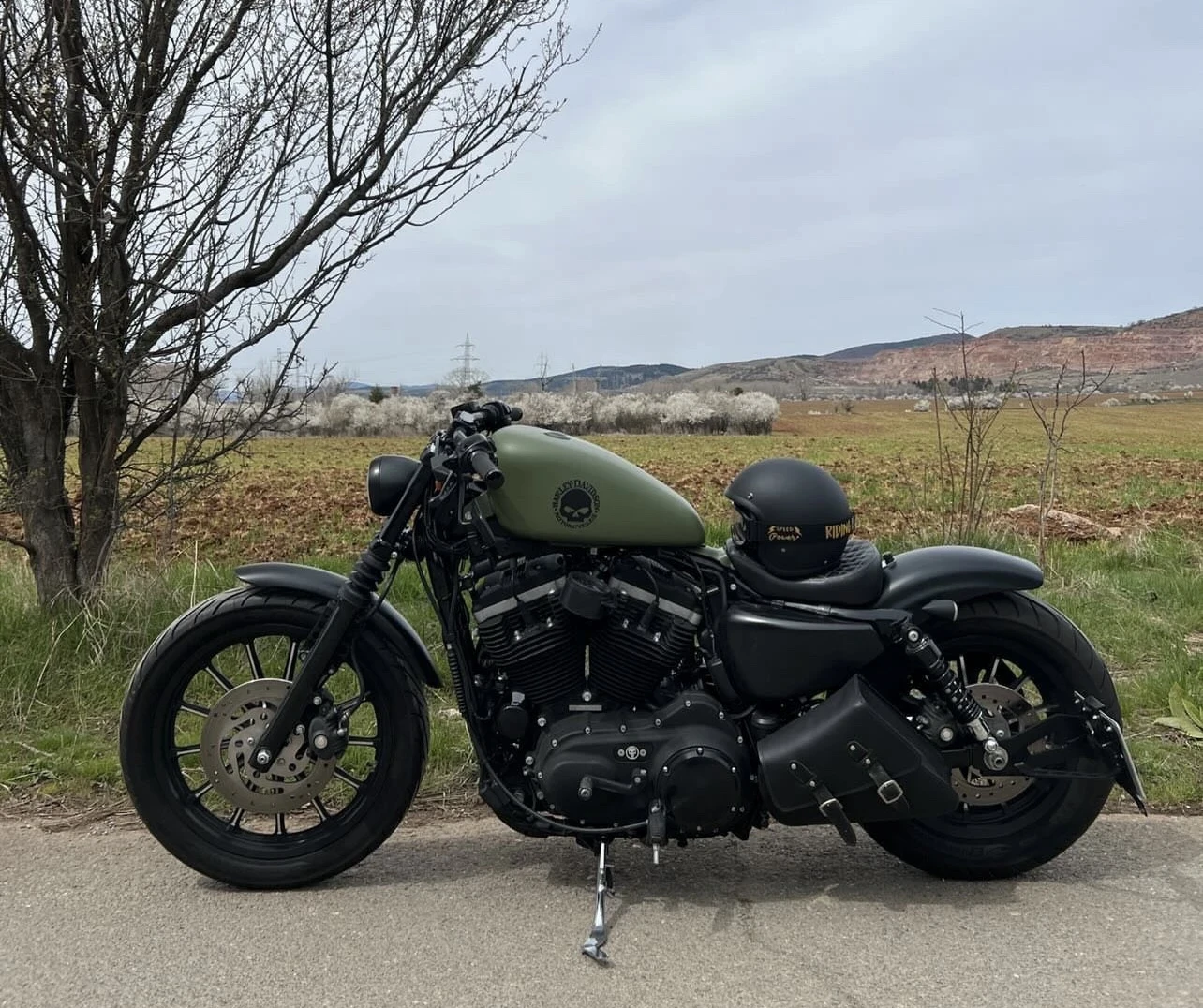 Harley-Davidson Sportster Iron 883, снимка 3 - Мотоциклети и мототехника - 56099600