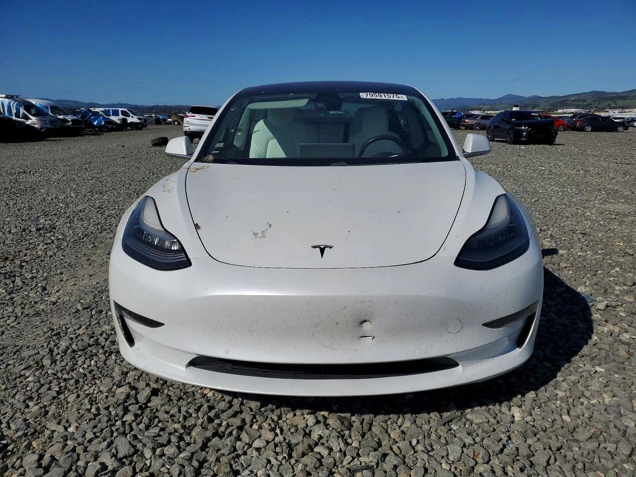 Tesla Model 3, снимка 5 - Автомобили и джипове - 55272006