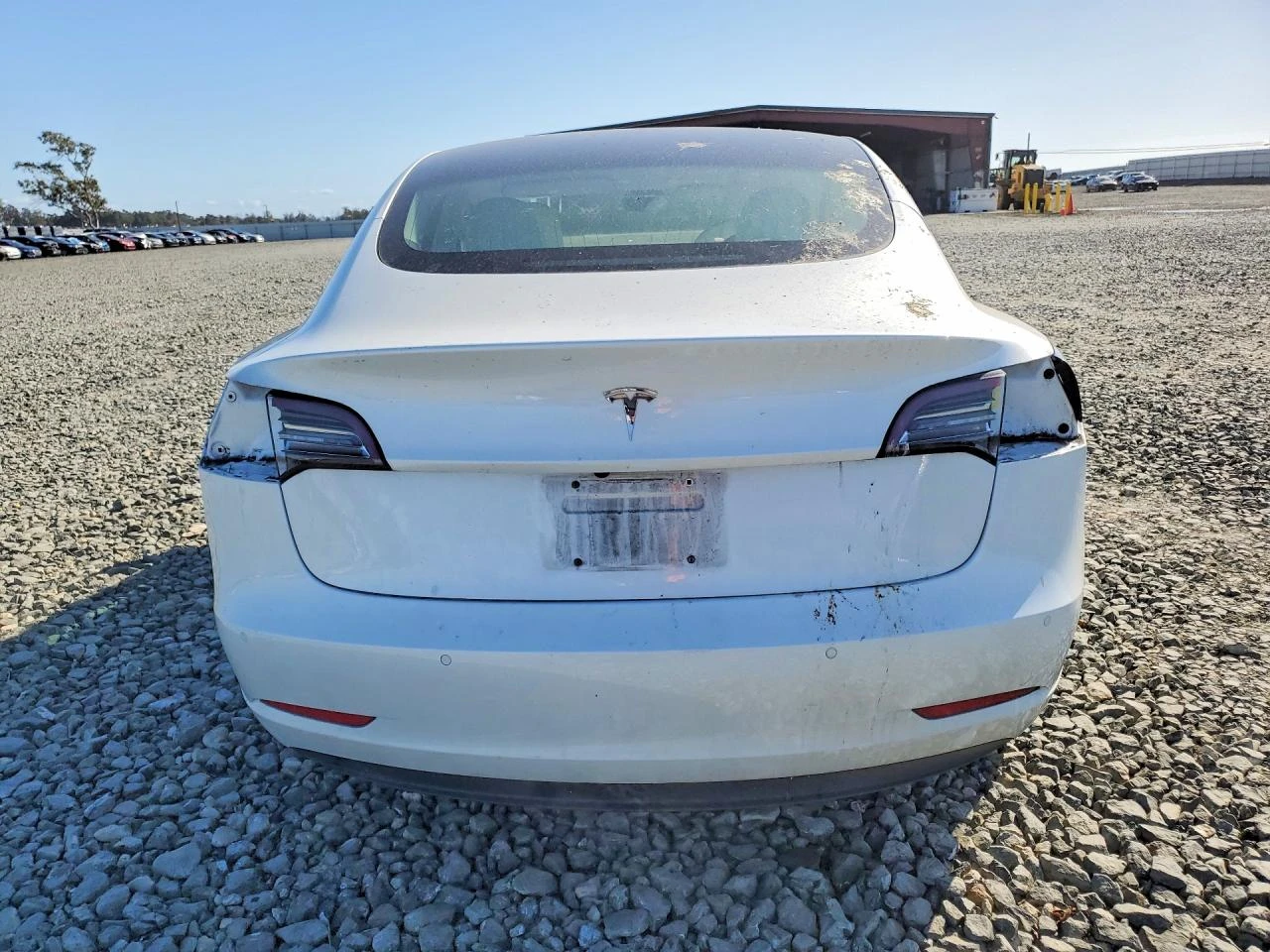 Tesla Model 3, снимка 6 - Автомобили и джипове - 55272006