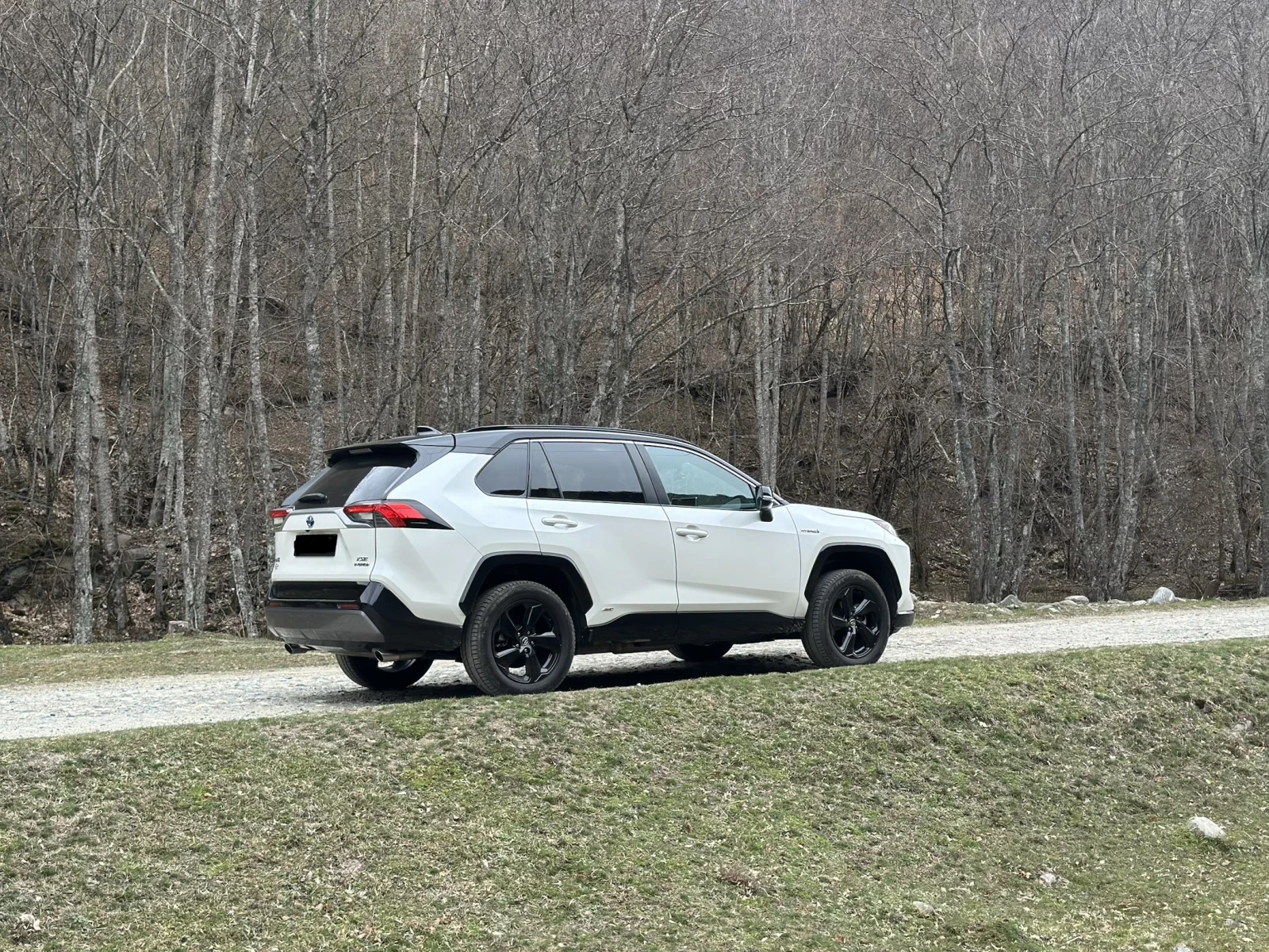 Toyota Rav4 Rav 4 AWD (4x4) XSE Hybrid Nightshade edition  - изображение 2