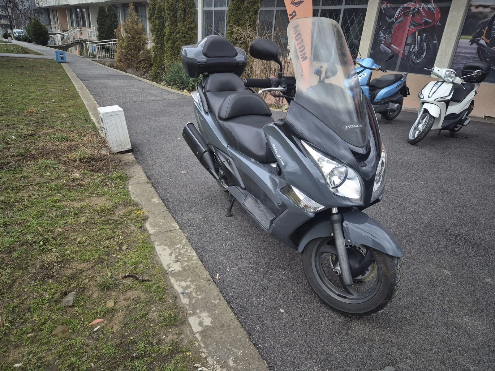 Honda Silver Wing 400 - изображение 3