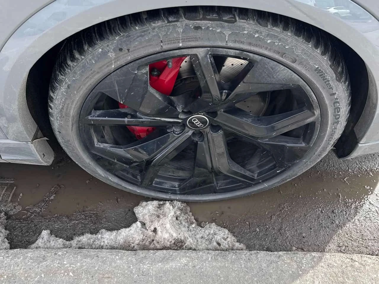 Audi RSQ8 4.0 TFSI quattro /DISTRONIC/360/B&O/ОБДУХВАНЕ, снимка 7 - Автомобили и джипове - 54108053