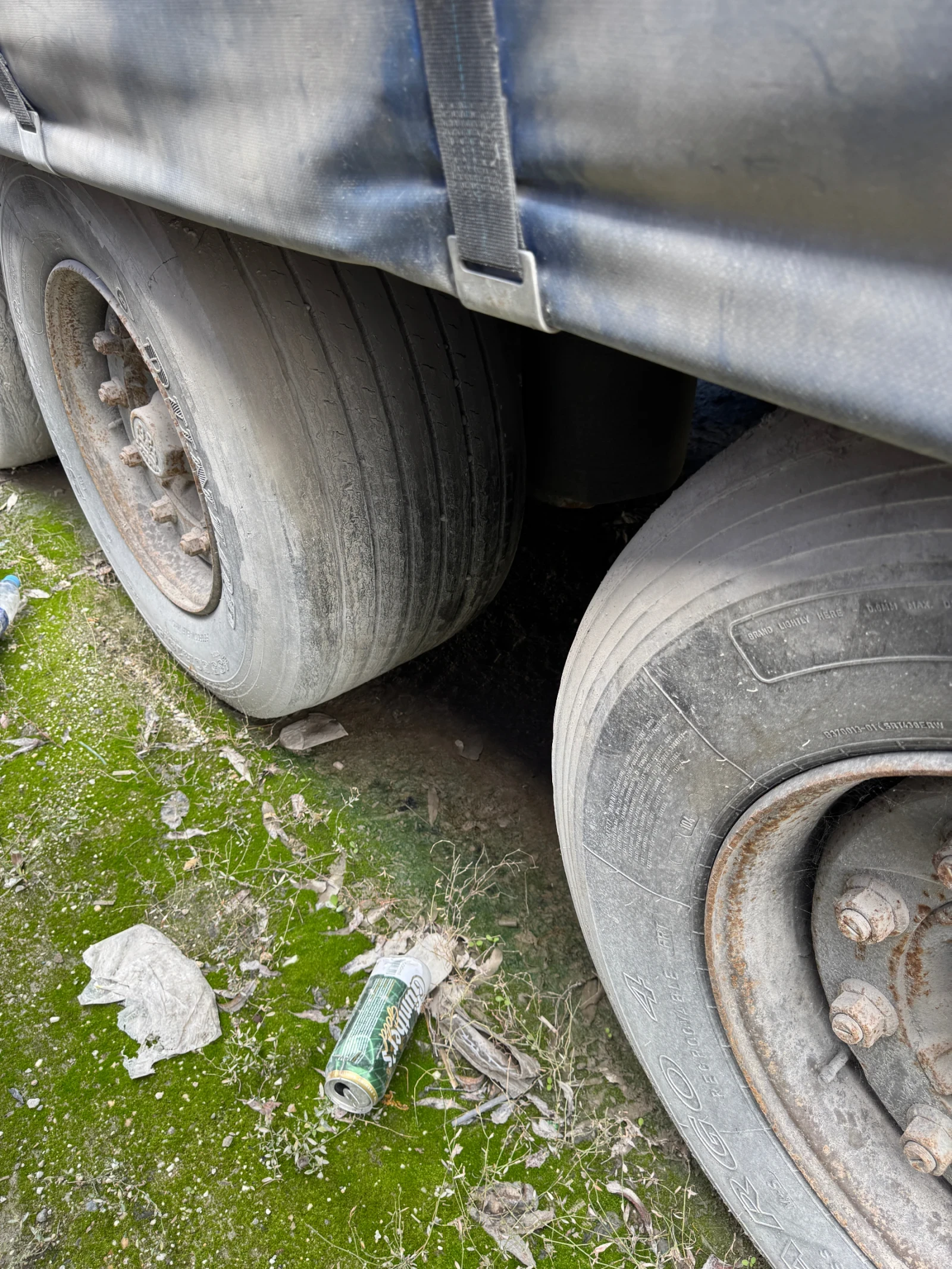  Koegel | Mobile.bg   8