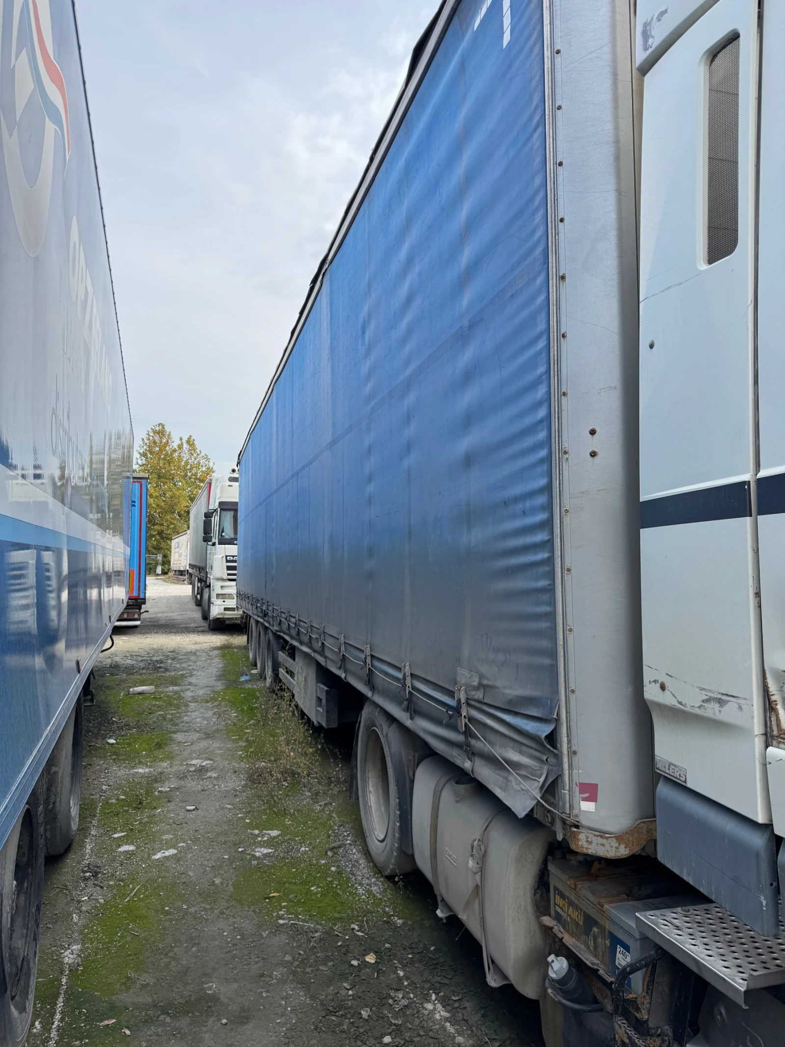  Koegel | Mobile.bg   1