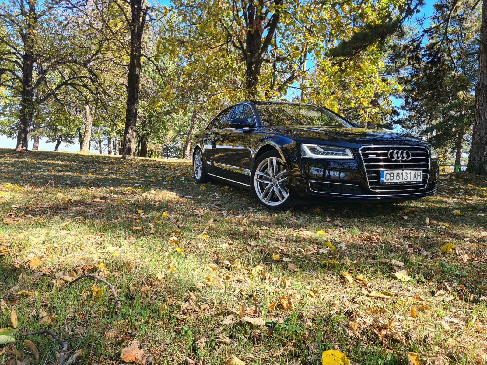 Audi A8 Audi A8 * 4.2TDI* MATRIX* Quattro* , снимка 1