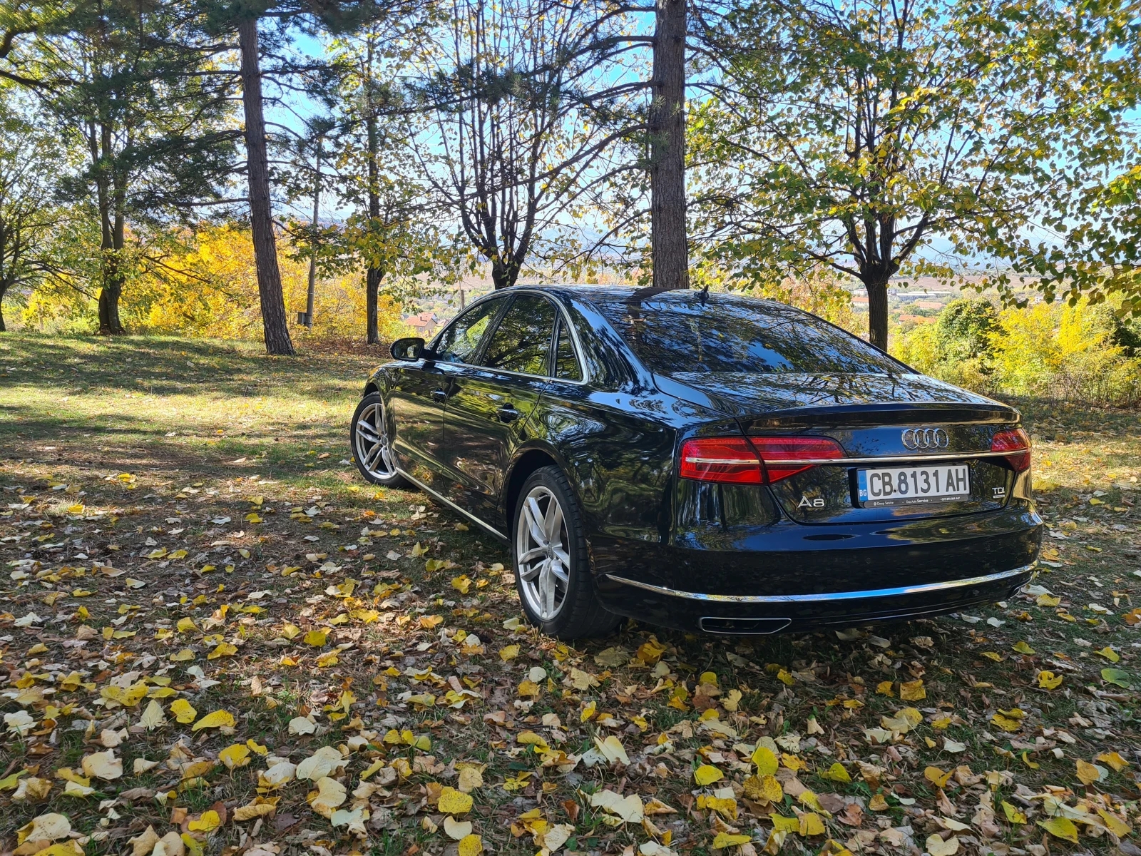 Audi A8 Audi A8 * 4.2TDI* MATRIX* Quattro*  - изображение 4