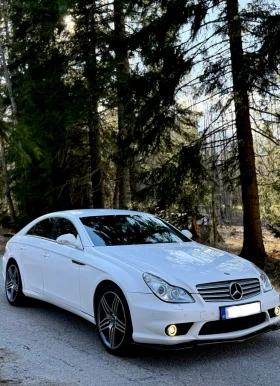 Mercedes-Benz CLS 320 AMG PACKET!, снимка 1