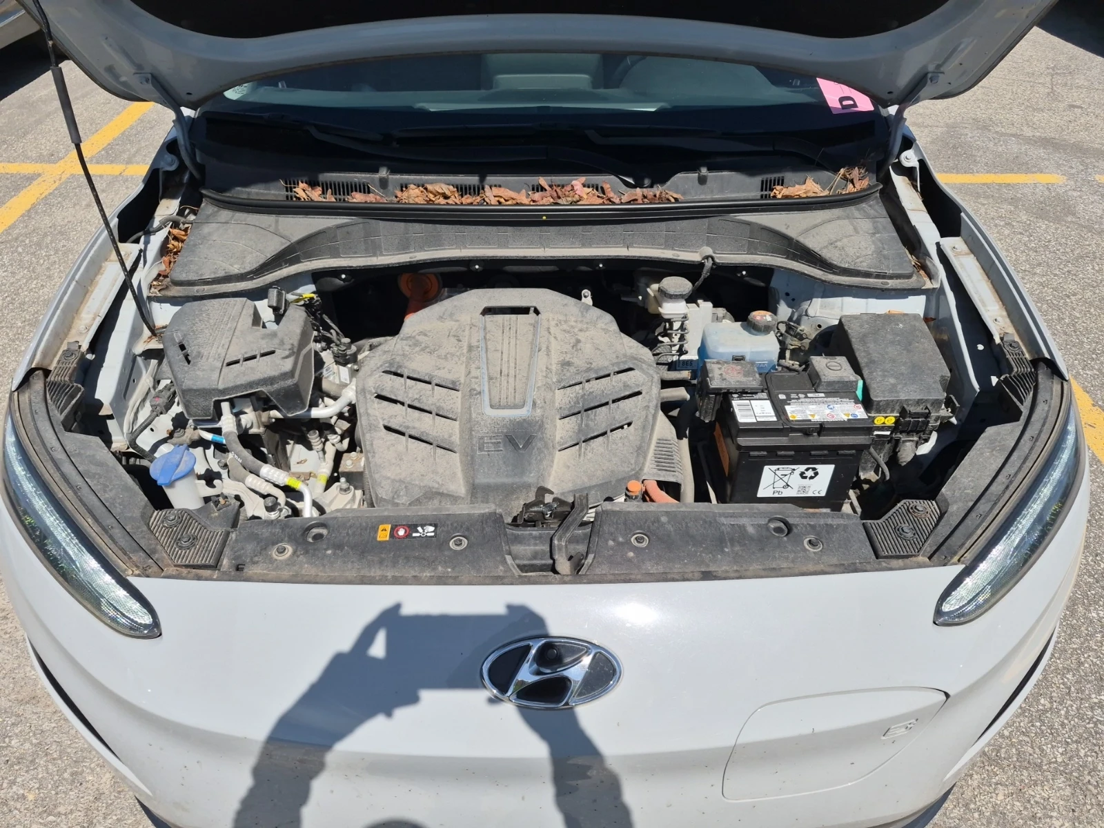 Hyundai Kona * ELECTRIC* PREFERRED* , снимка 5 - Автомобили и джипове - 55405704