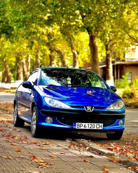 Peugeot 206 Cc, снимка 1