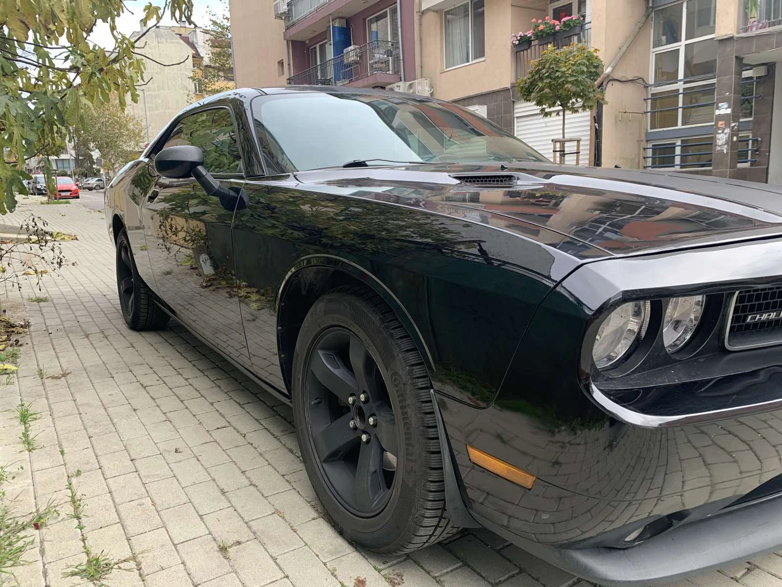 Dodge Challenger  - изображение 4