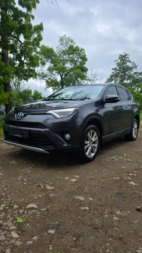 Toyota Rav4 2.5 Hybrid 4x4 E6, снимка 2