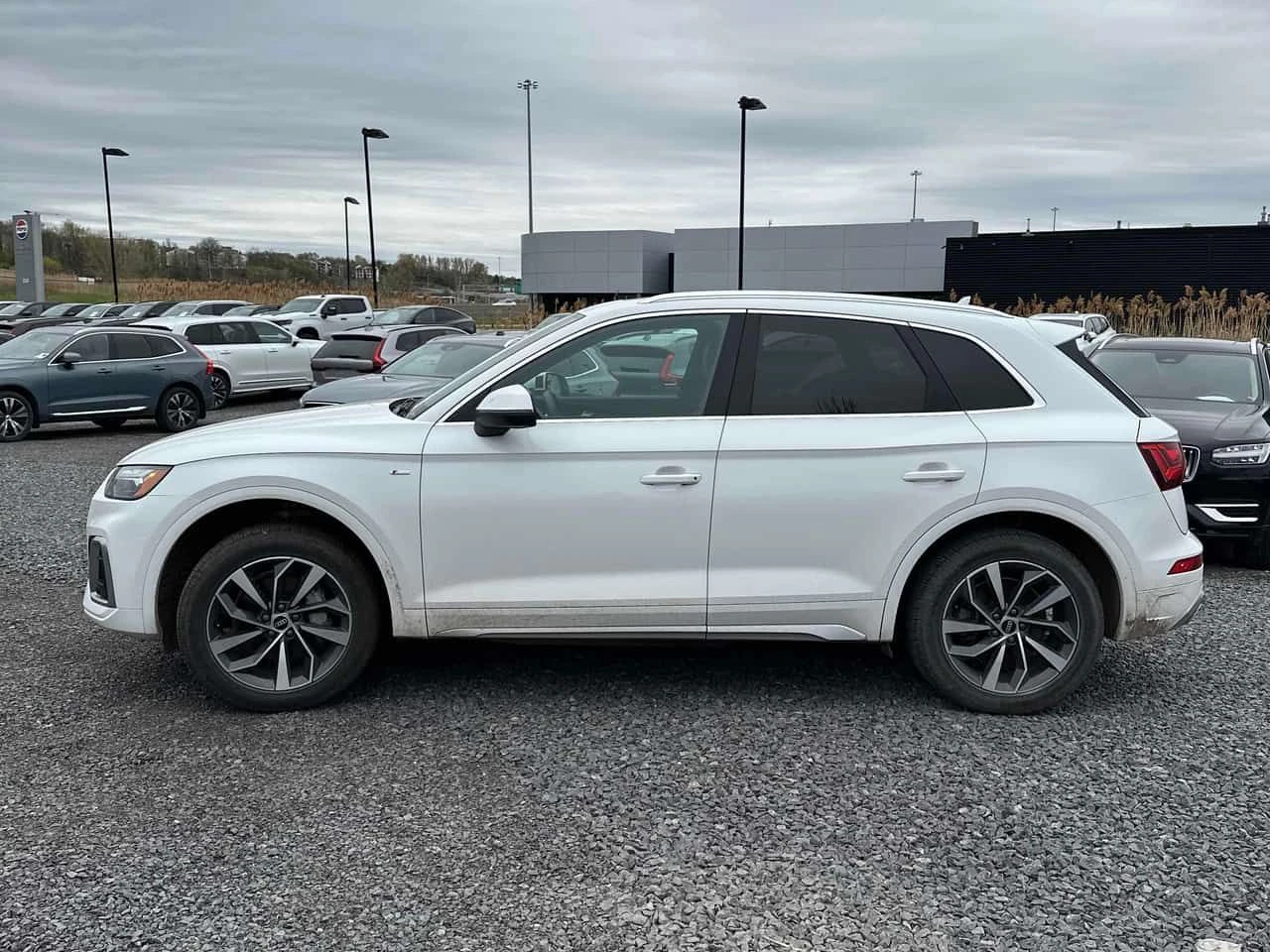 Audi Q5 * Progressiv * CARFAX * ЦЕНА ДО БГ, снимка 3 - Автомобили и джипове - 54606095