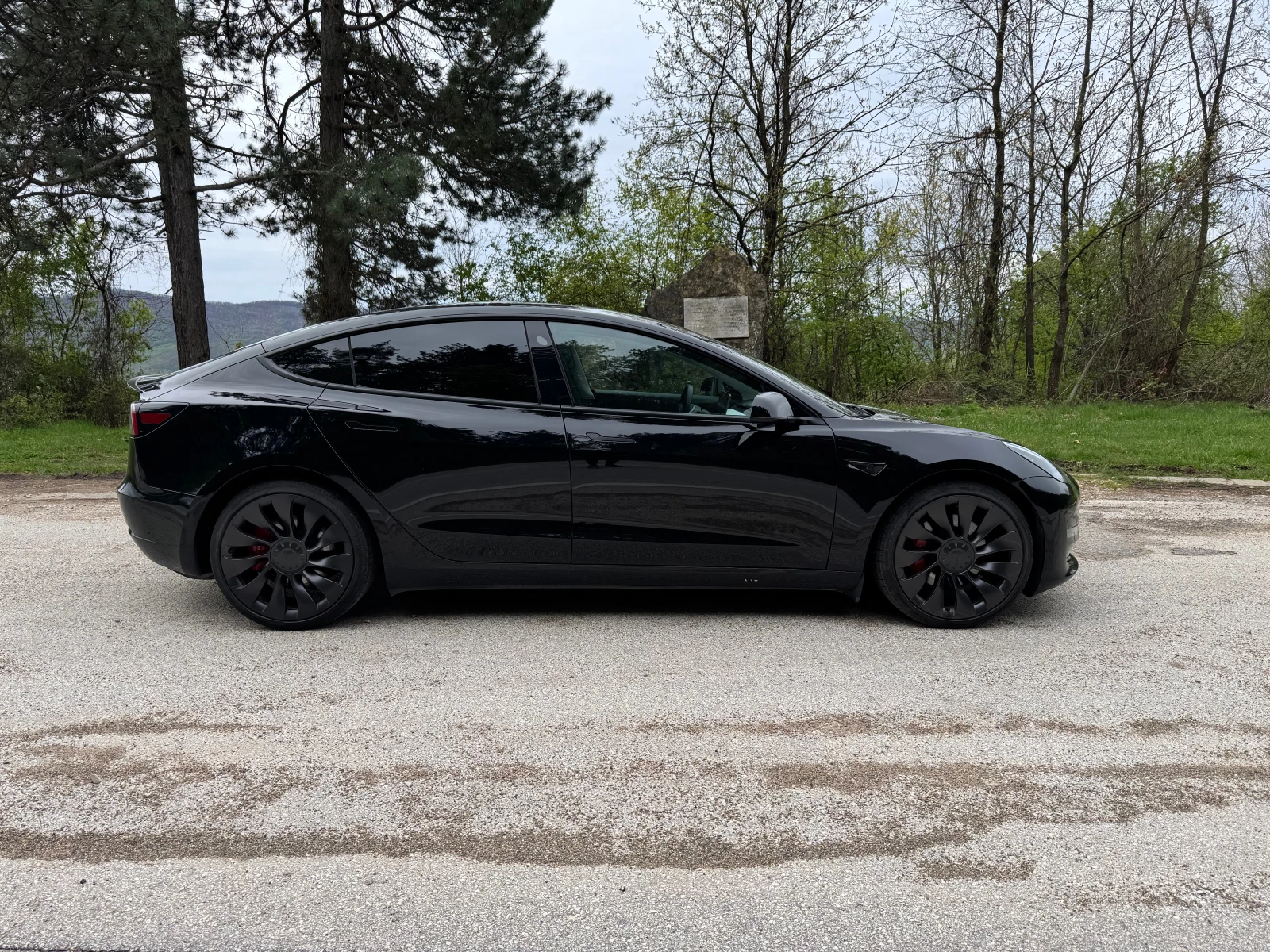 Tesla Model 3 Performance LR - изображение 5