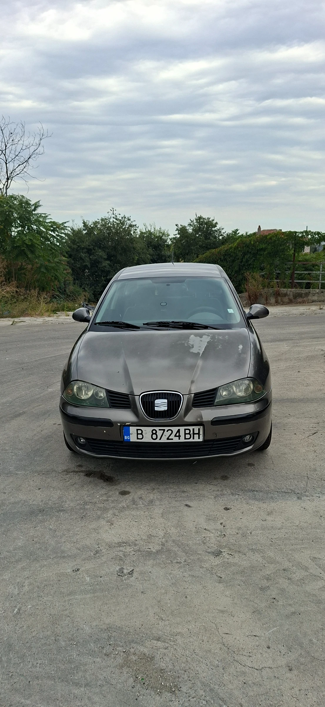 Seat Ibiza