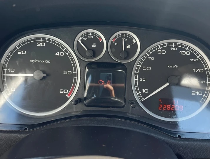 Peugeot 307, снимка 11 - Автомобили и джипове - 54808671