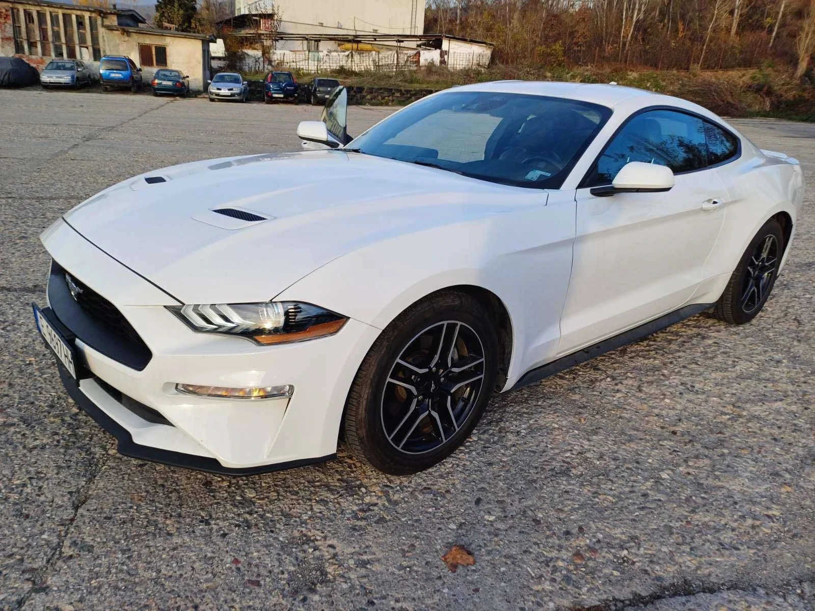 Ford Mustang  - изображение 2
