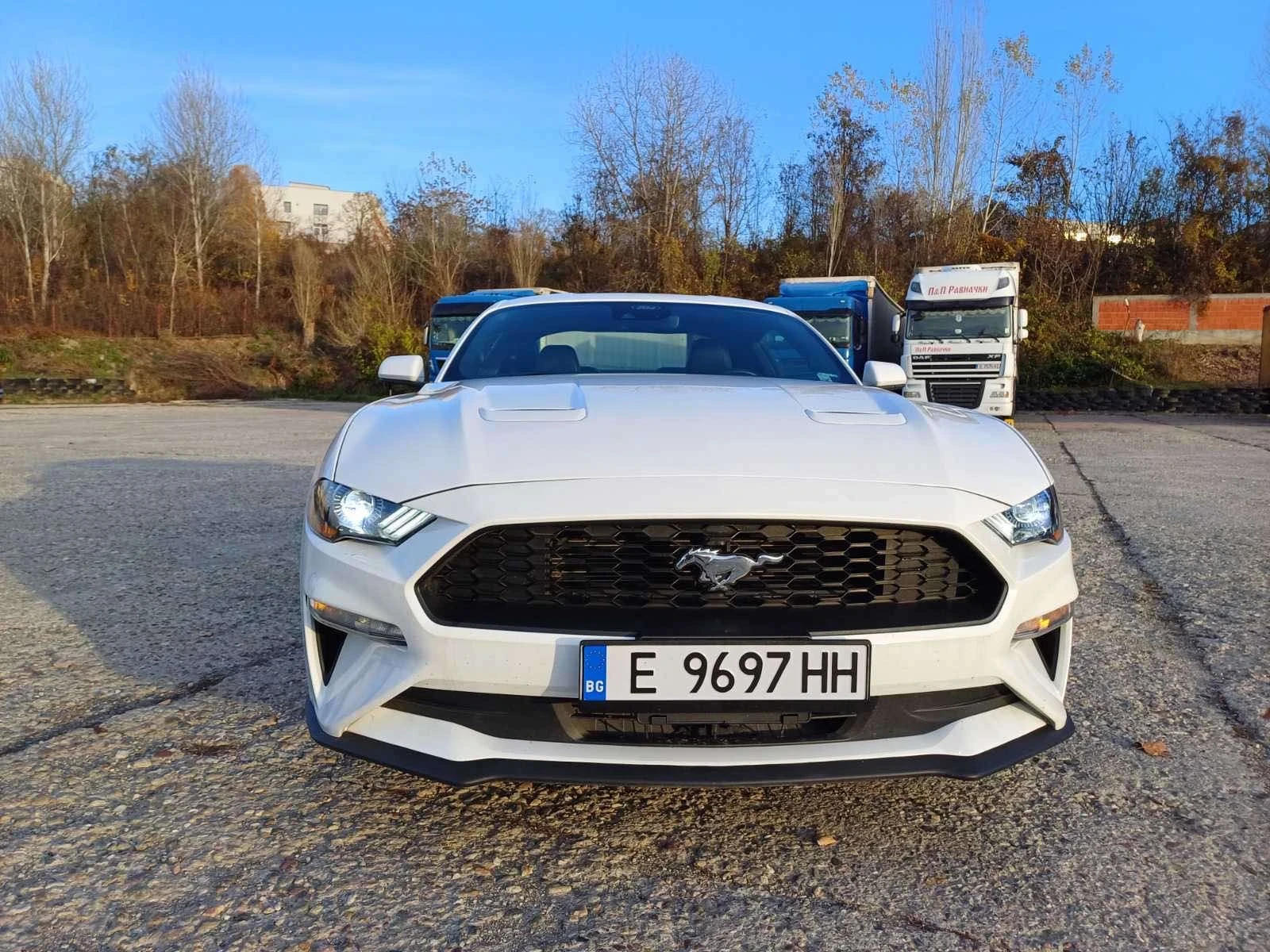 Ford Mustang  - изображение 3