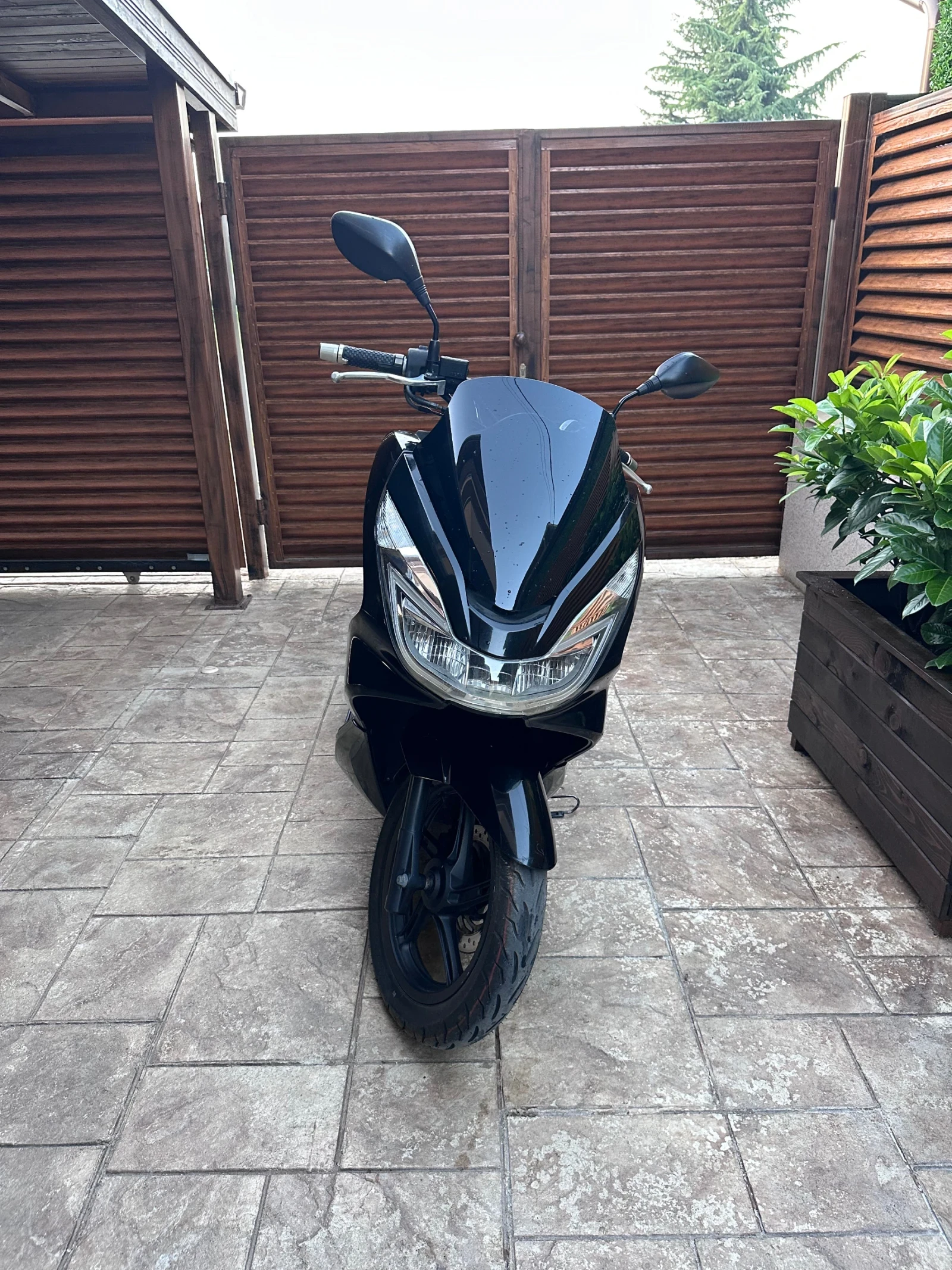 Honda Pcx