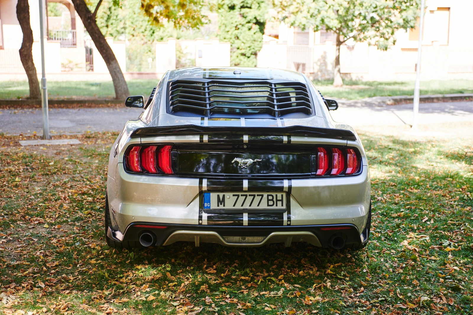 Ford Mustang Sports Package - изображение 9