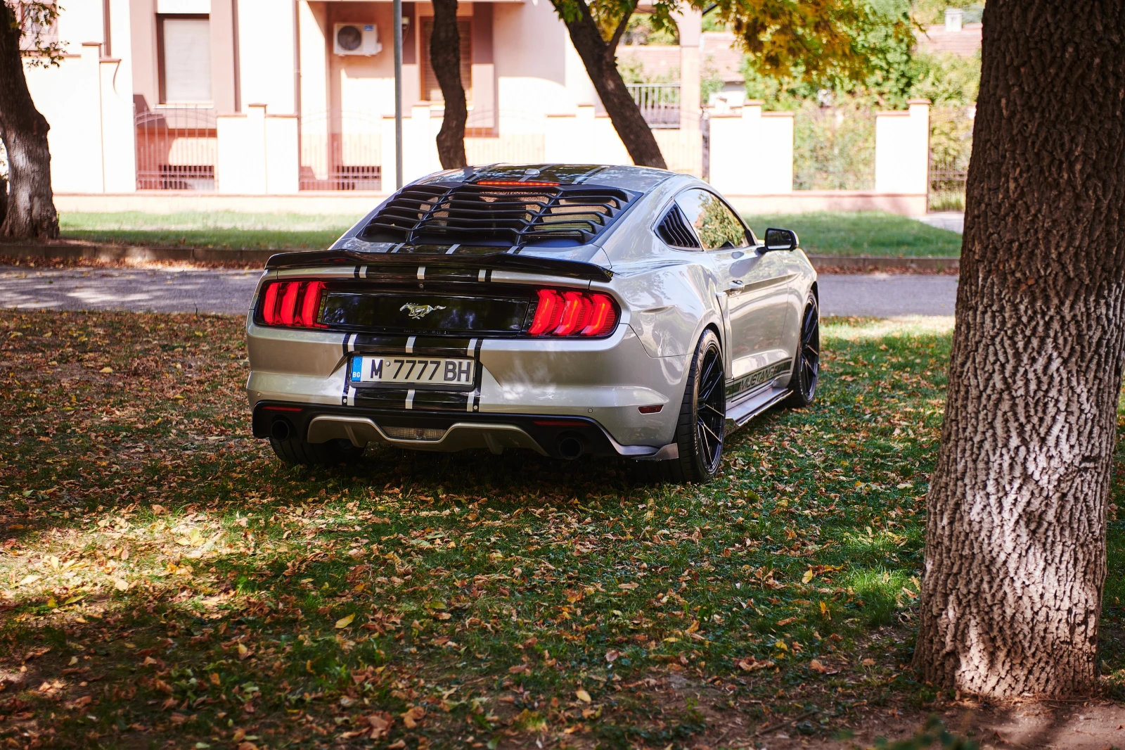 Ford Mustang Sports Package - изображение 2