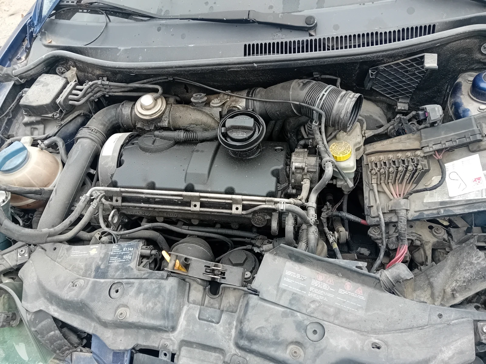 Seat Ibiza  - изображение 2