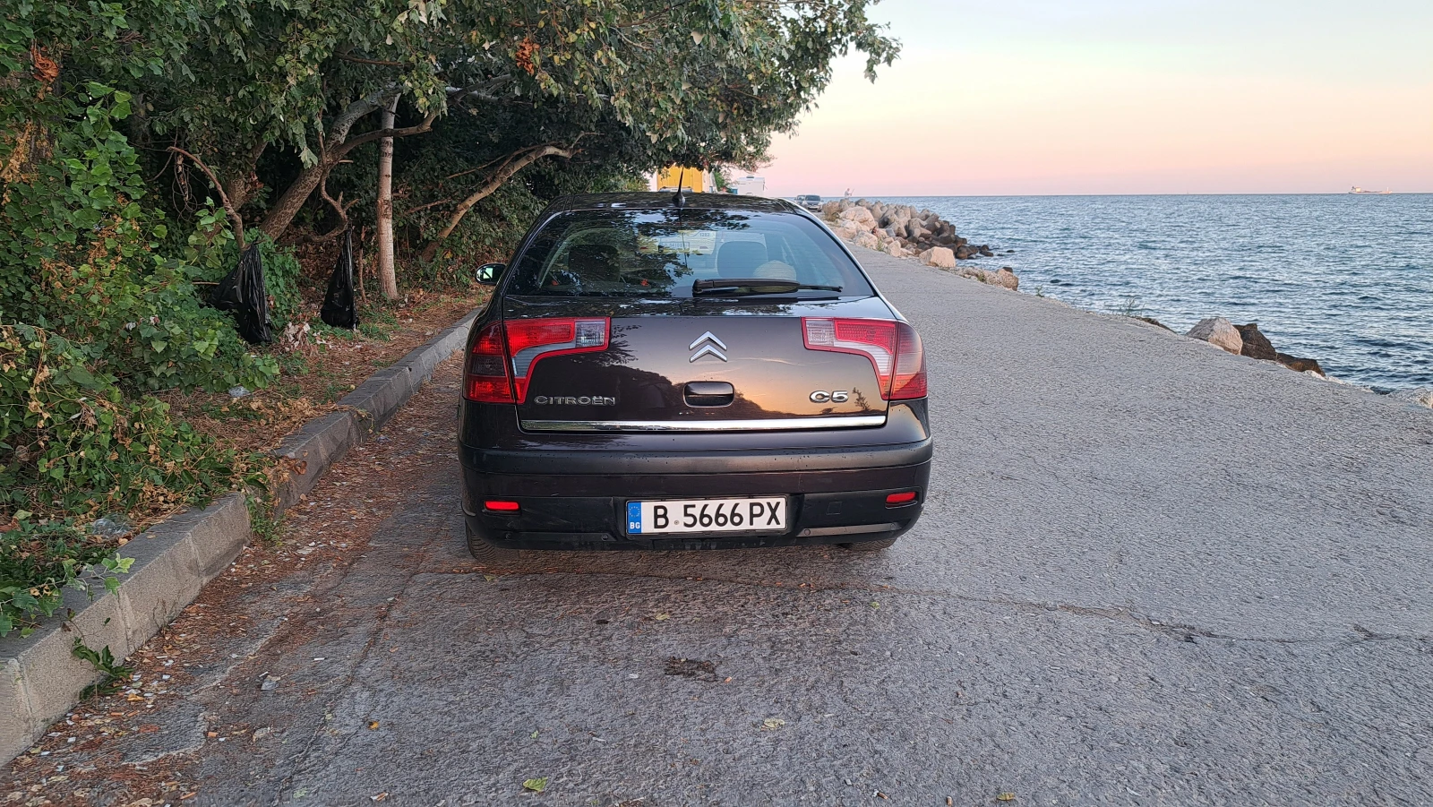Citroen C5, снимка 7 - Автомобили и джипове - 56002201