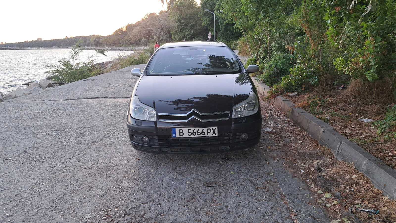 Citroen C5, снимка 3 - Автомобили и джипове - 56002201