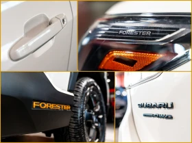 Subaru Forester Wilderness* AWD - 58000 лв. / 29654.93 € - 48594780 8