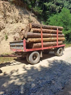   BULL TRAILERS | Mobile.bg    9