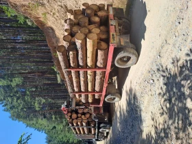       BULL TRAILERS