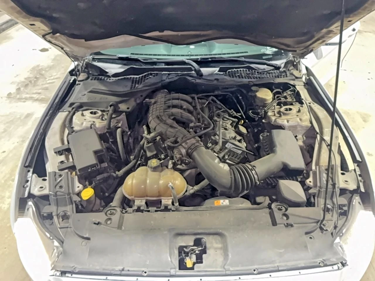 Ford Mustang  - изображение 7