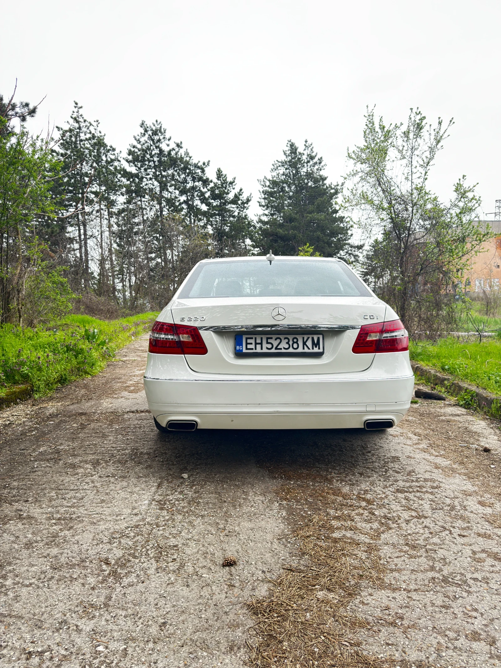Mercedes-Benz E 220 7G Tronic СМЕНЕНА ВЕРИГА, снимка 4 - Автомобили и джипове - 54177872