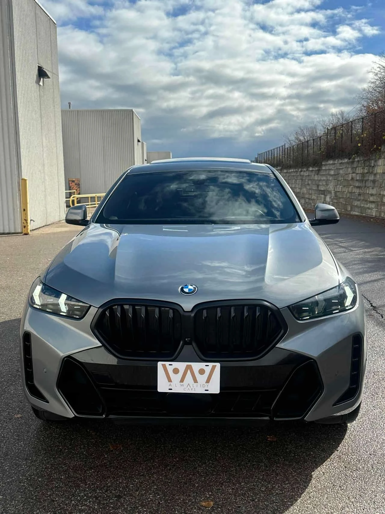 BMW X6  xDrive40i / 360 / DIS / HARMNON KARDON / MASSAGE , снимка 15 - Автомобили и джипове - 53754422