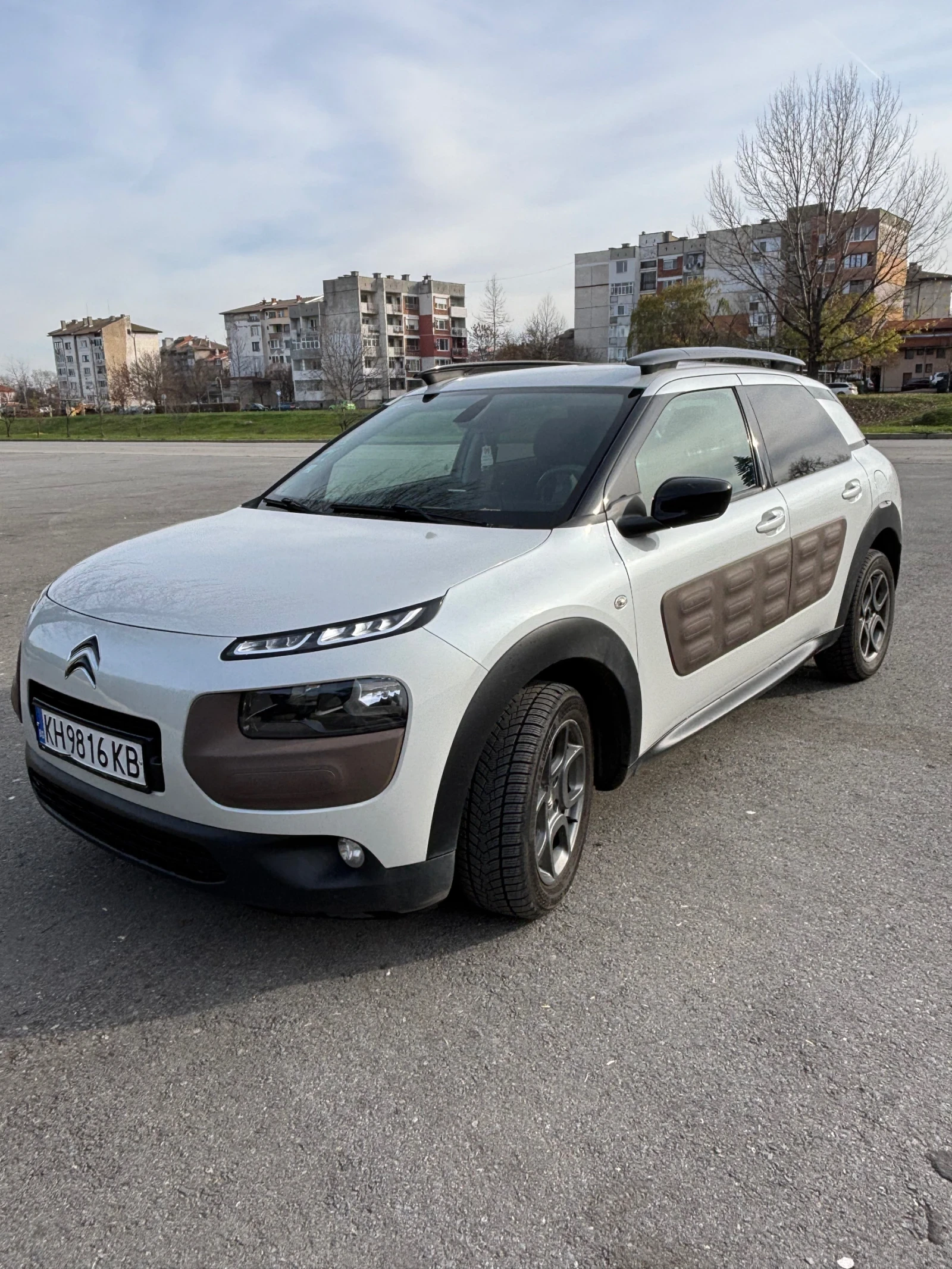 Citroen C4 Cactus, снимка 1